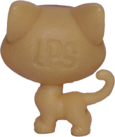 #2-84 Teensy Kitten "Catalina Scrapper"